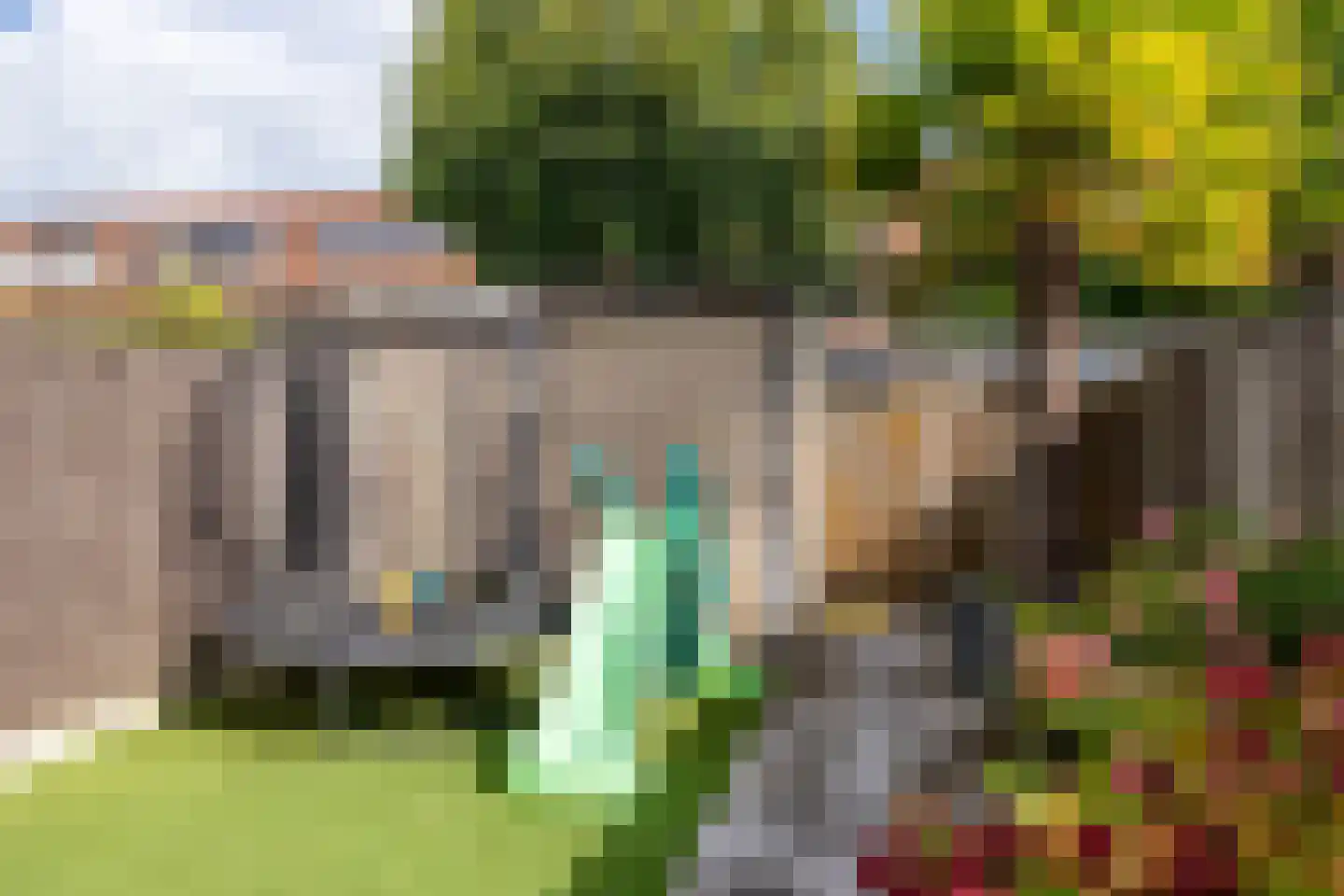 Lisdodde 84 Breda thumbnail 37