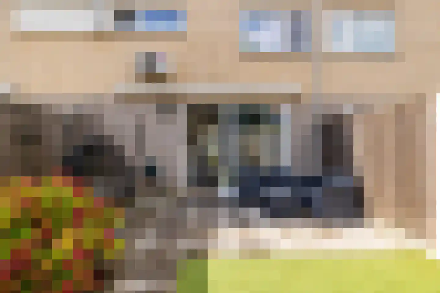 Lisdodde 84 Breda thumbnail 38