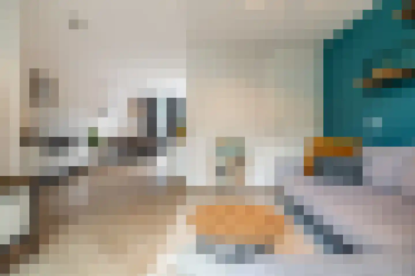 Lisdodde 84 Breda thumbnail 5
