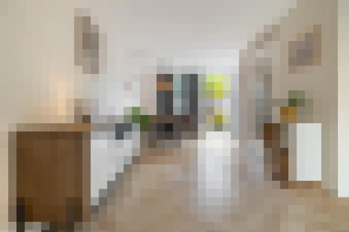 Lisdodde 84 Breda thumbnail 9
