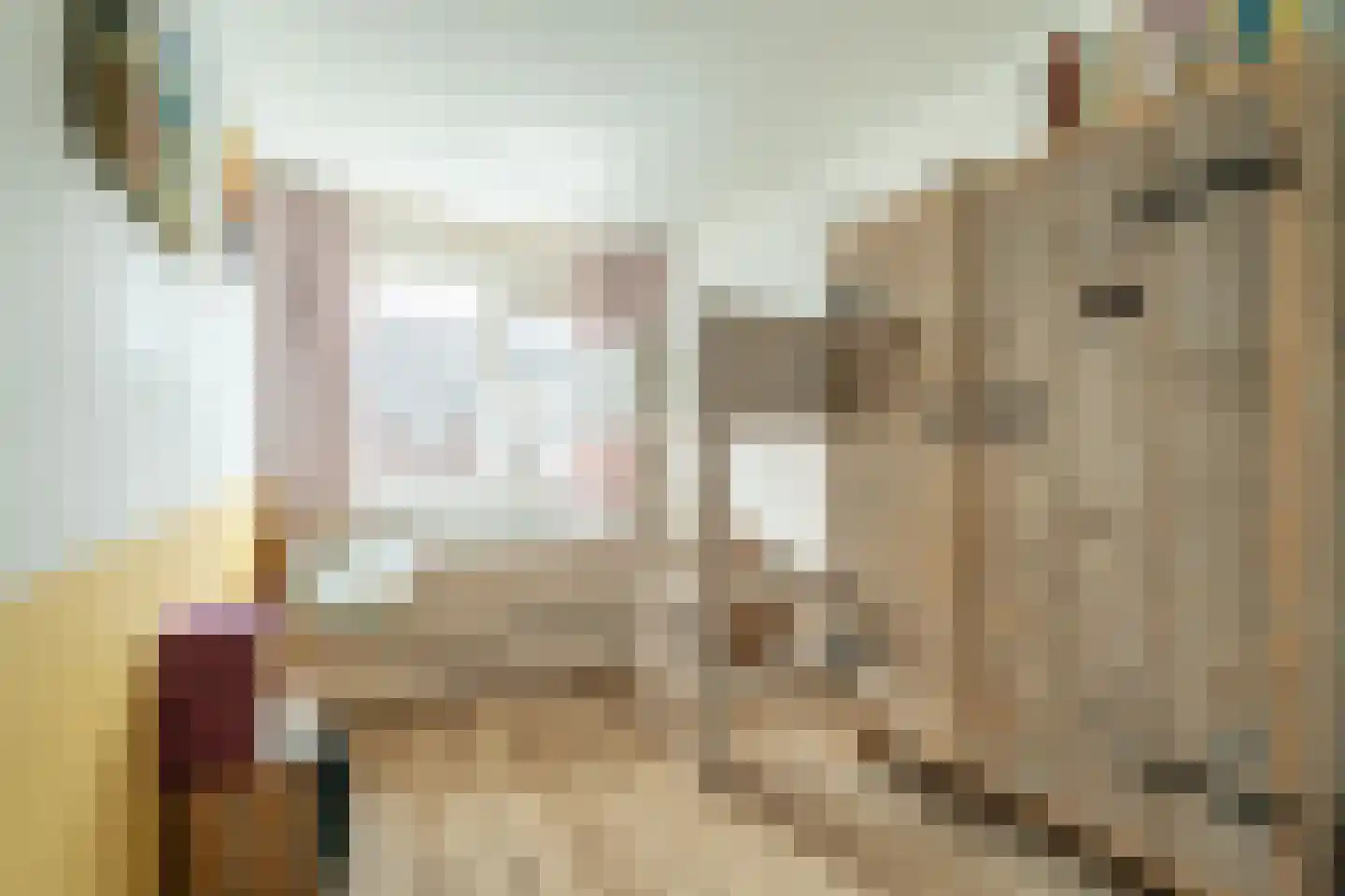 Lisdodde 9 Amersfoort thumbnail 15