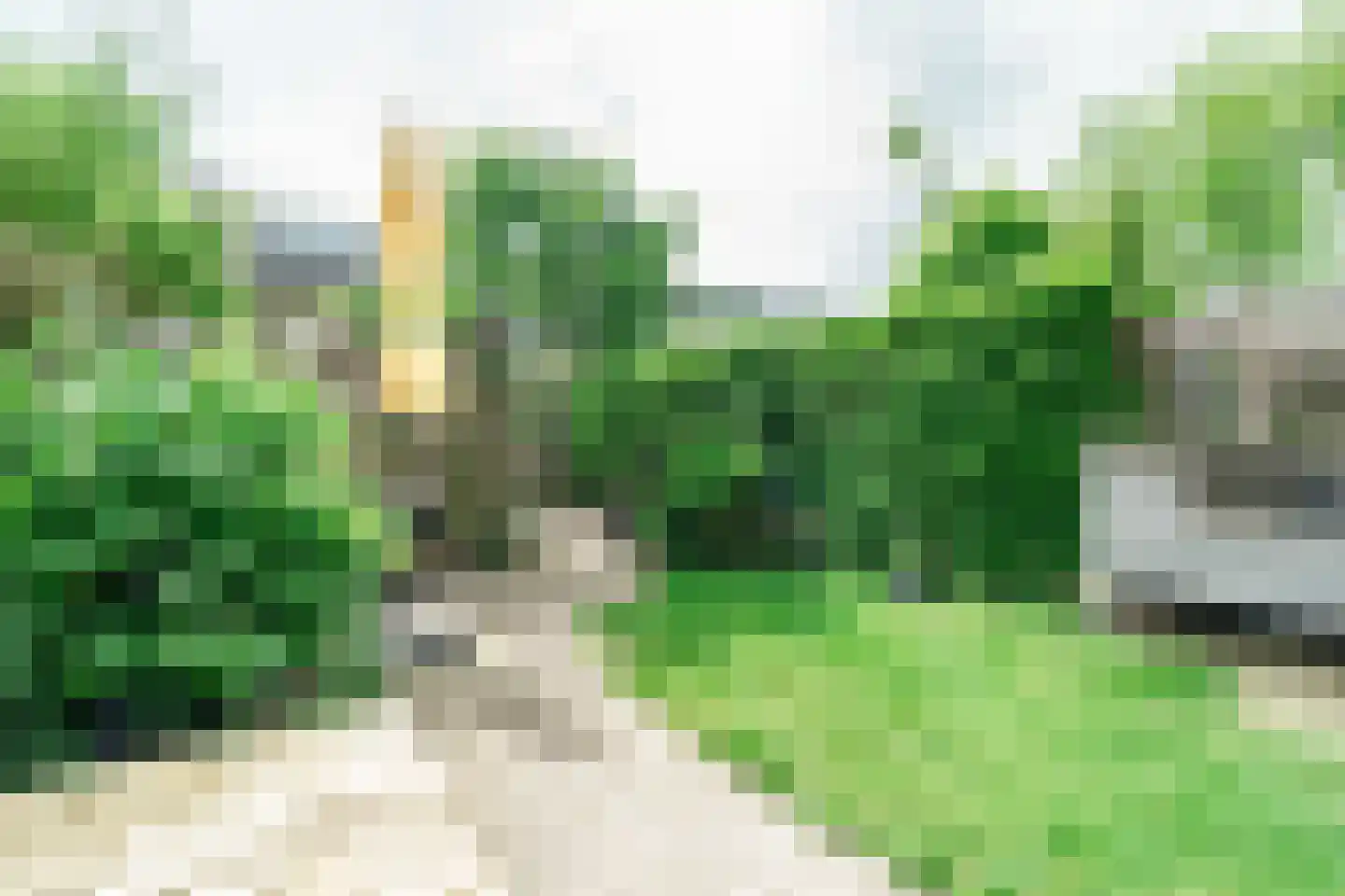 Lisdodde 9 Amersfoort thumbnail 26