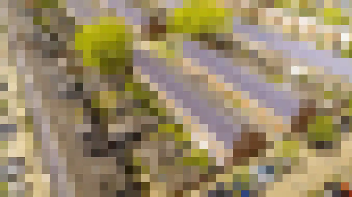 Lisdodde 9 Amersfoort thumbnail 35