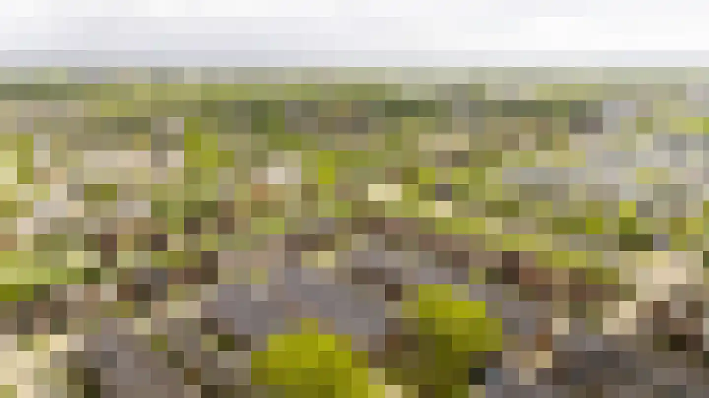 Lisdodde 9 Amersfoort thumbnail 37