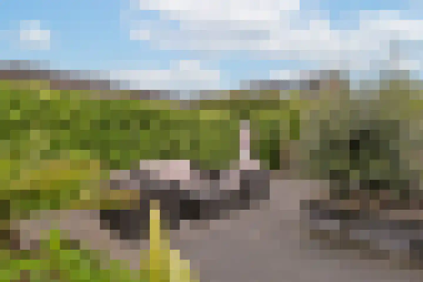 Lisdodde 92 Alphen aan den Rijn thumbnail 39