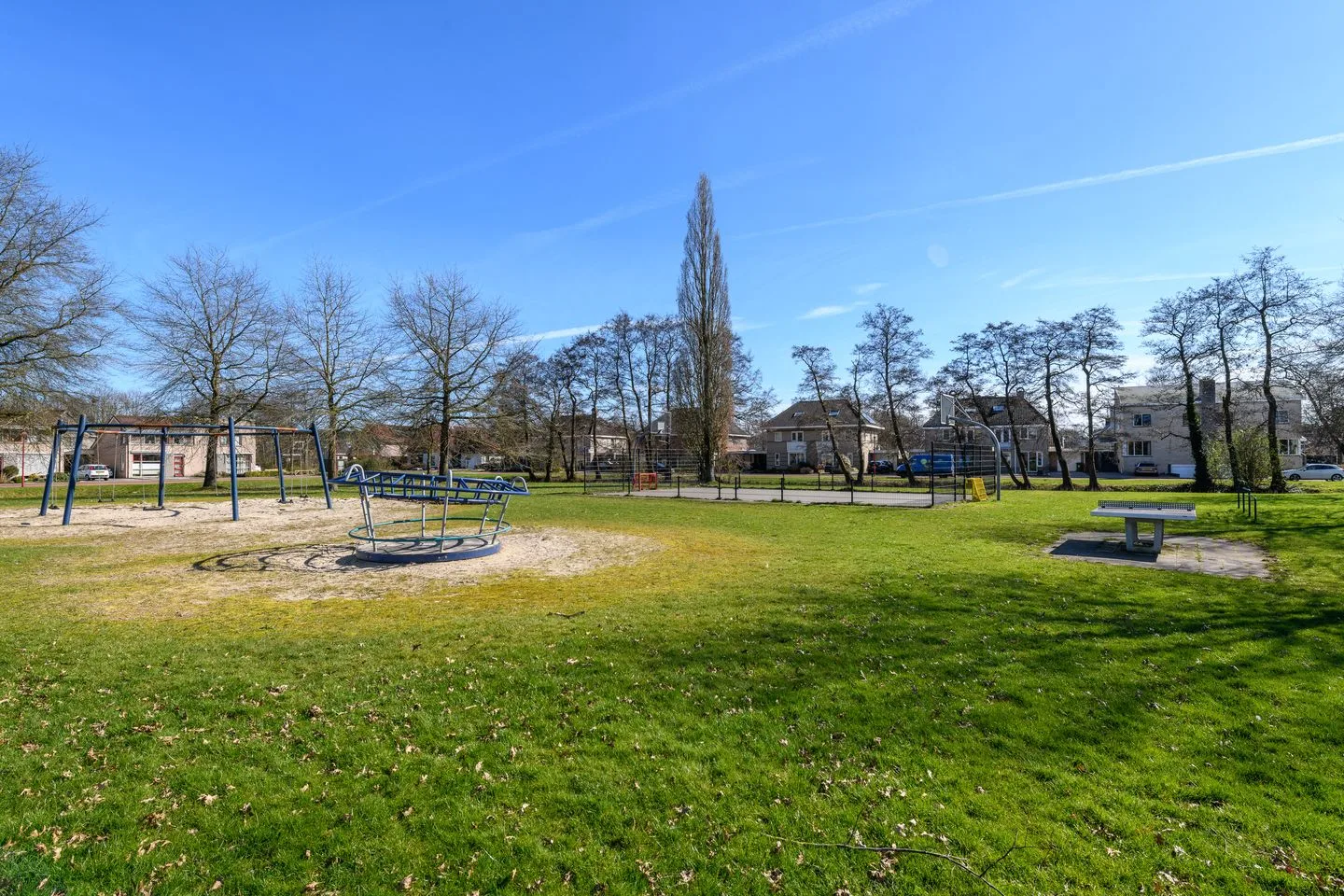 Lisdodde 93 Drachten thumbnail 46