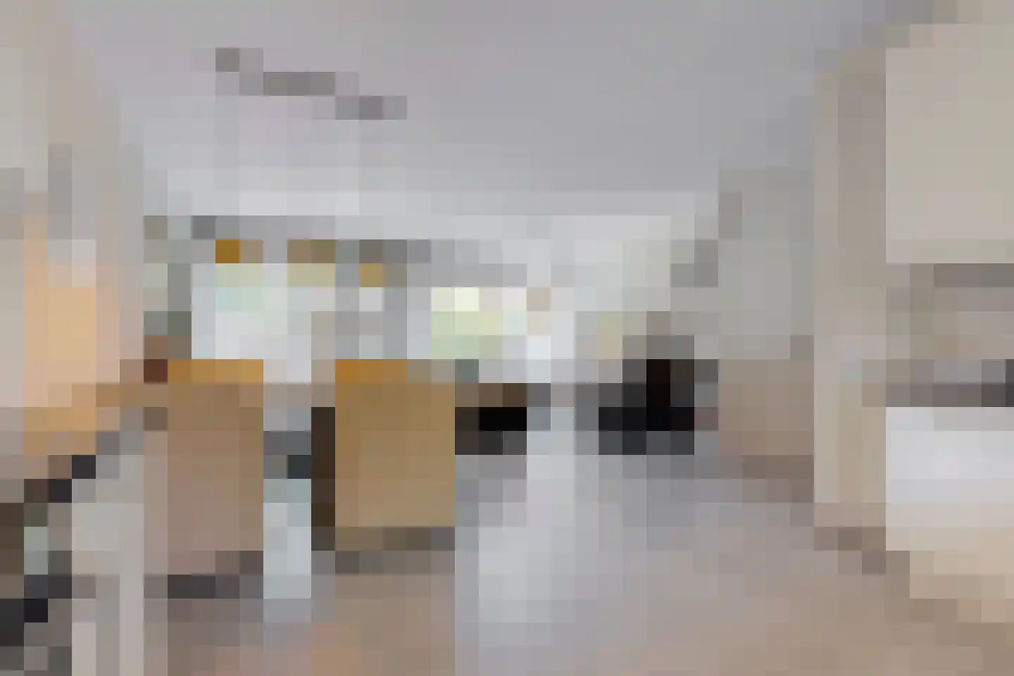 Lisdoddekreek 15 Leiderdorp thumbnail 11