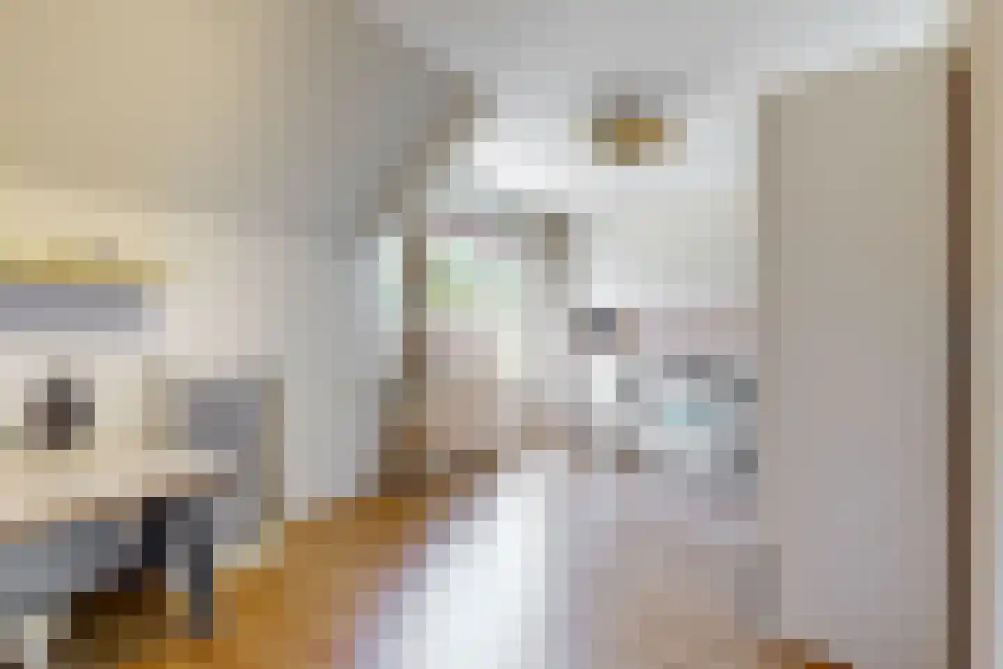 Lisdoddekreek 15 Leiderdorp thumbnail 15