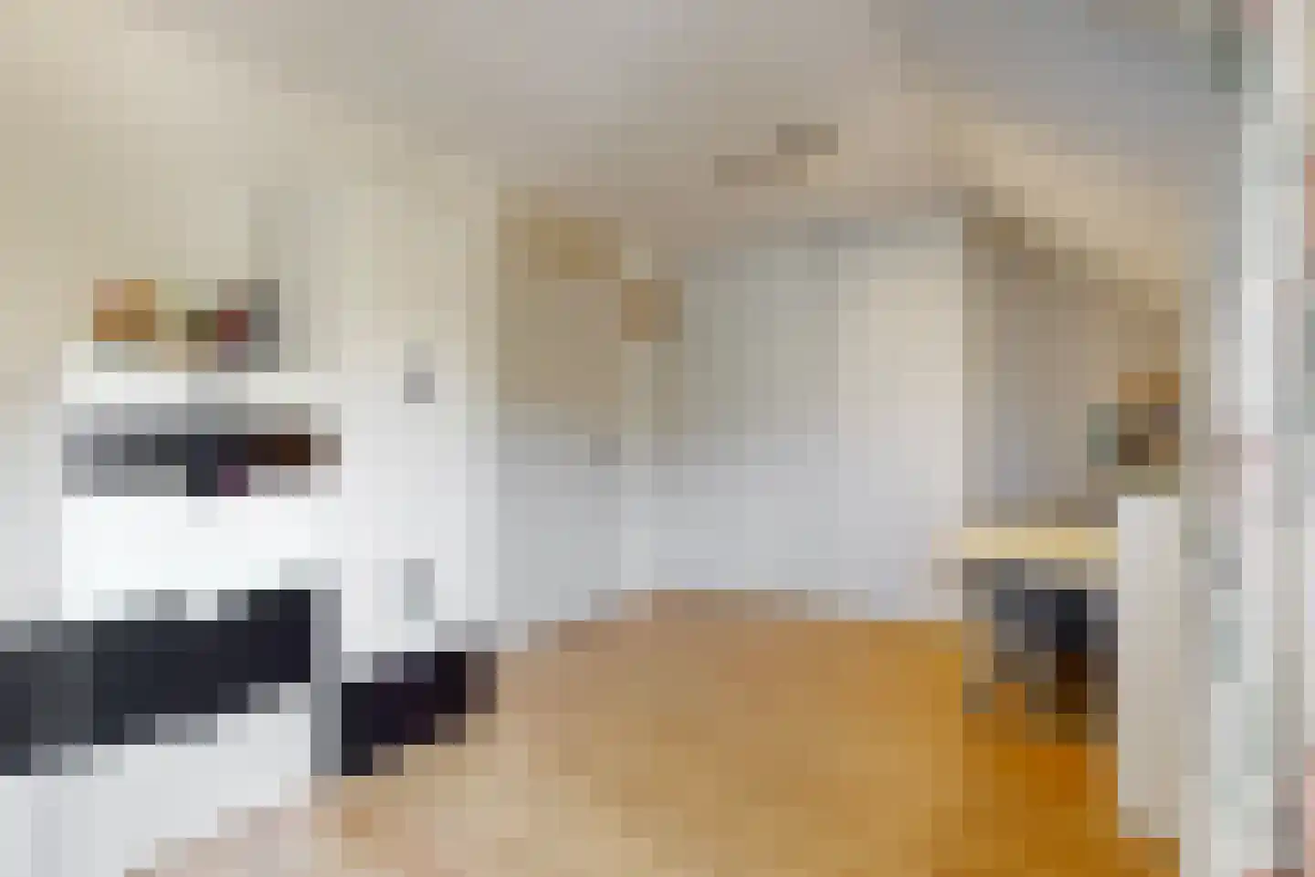 Lisdoddekreek 15 Leiderdorp thumbnail 16