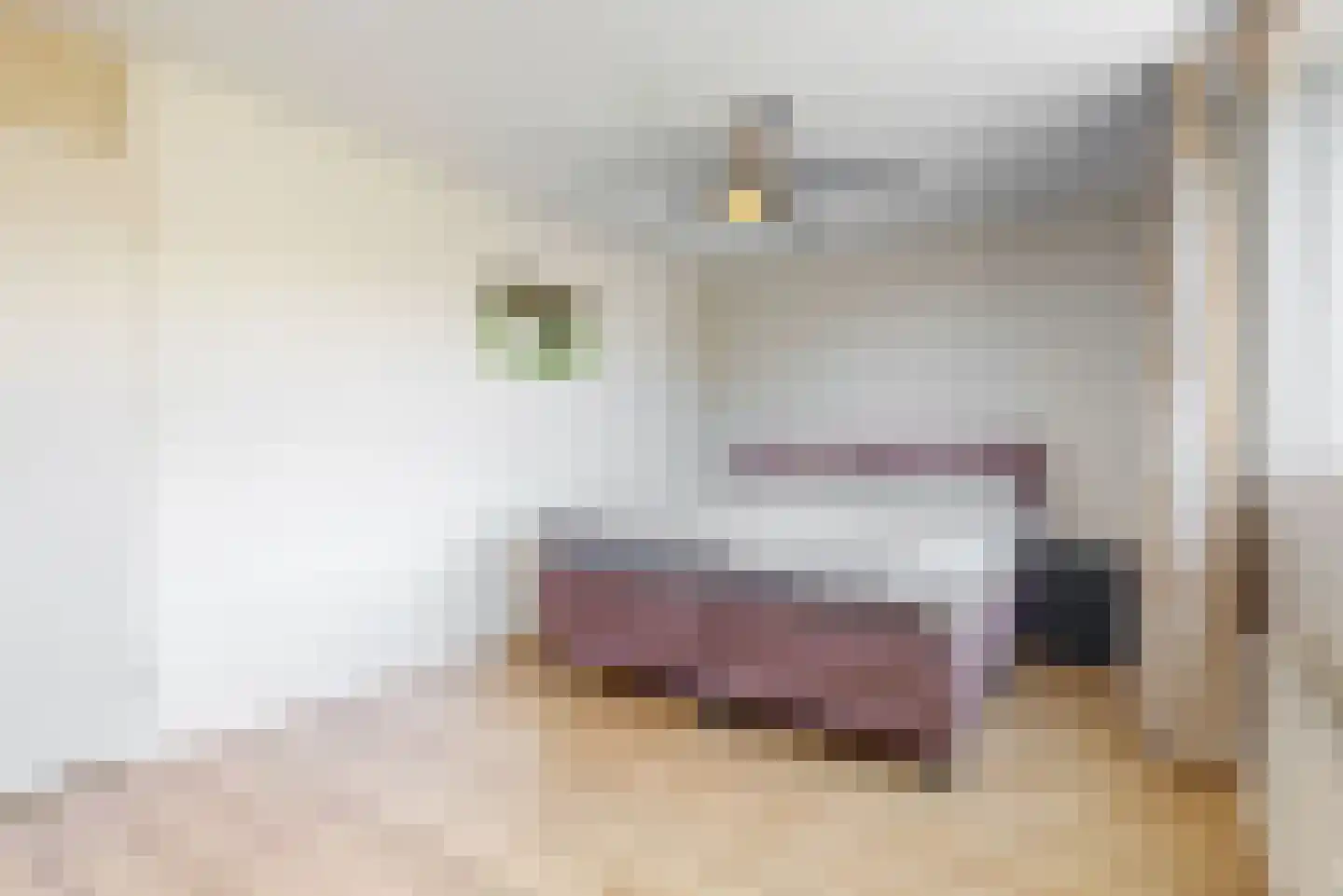 Lisdoddekreek 15 Leiderdorp thumbnail 18