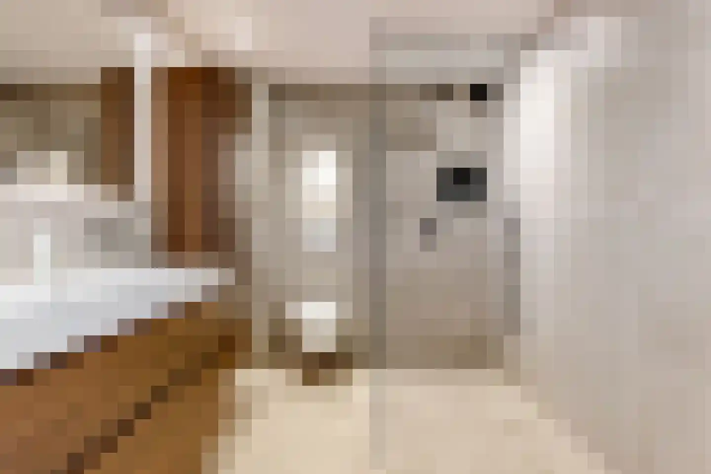 Lisdoddekreek 15 Leiderdorp thumbnail 19