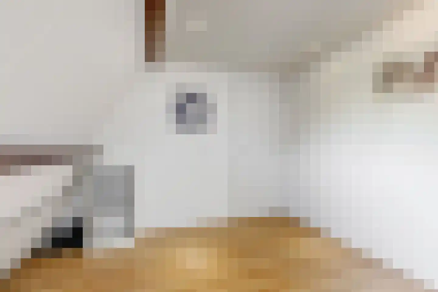 Lisdoddekreek 15 Leiderdorp thumbnail 29