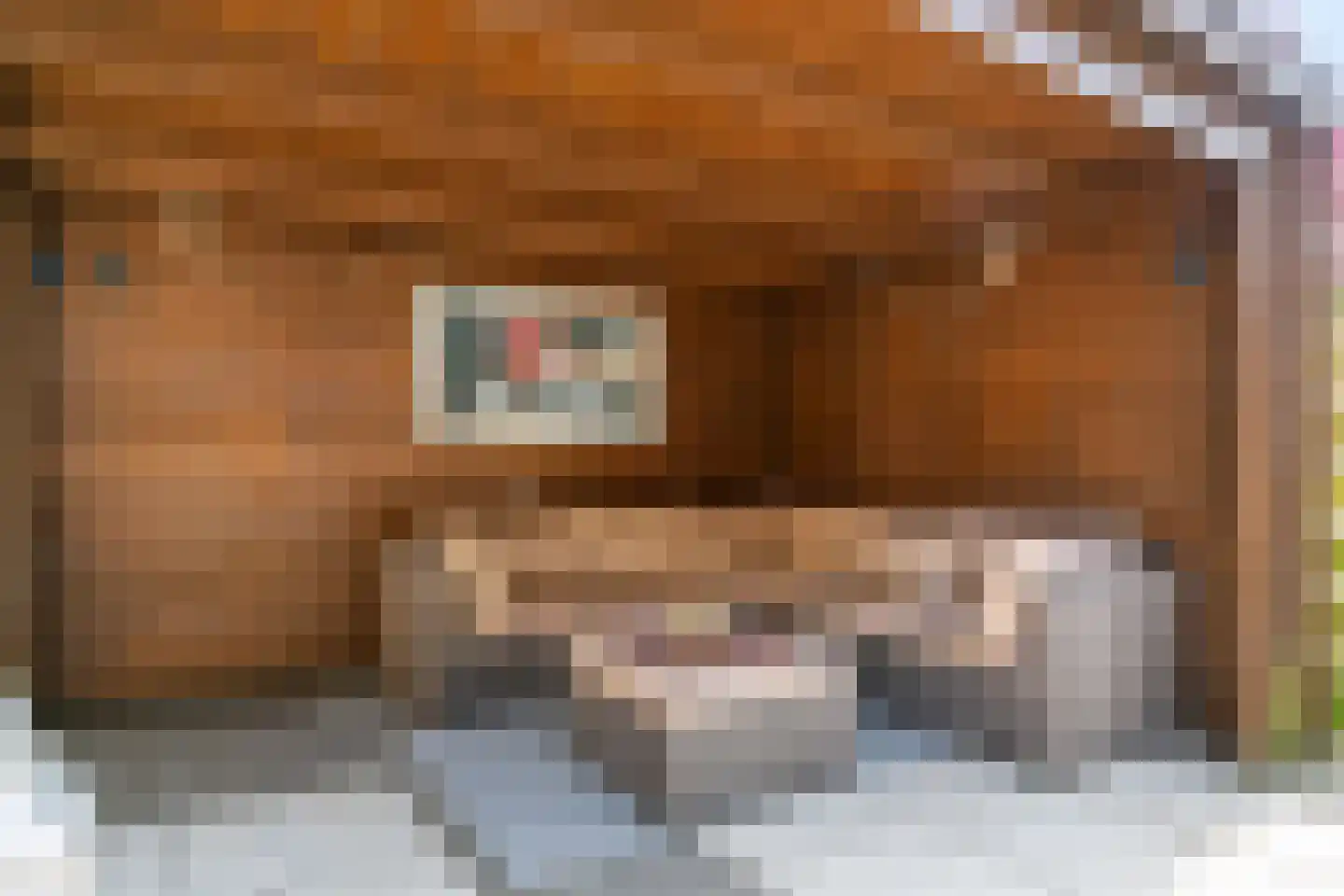 Lisdoddekreek 15 Leiderdorp thumbnail 31
