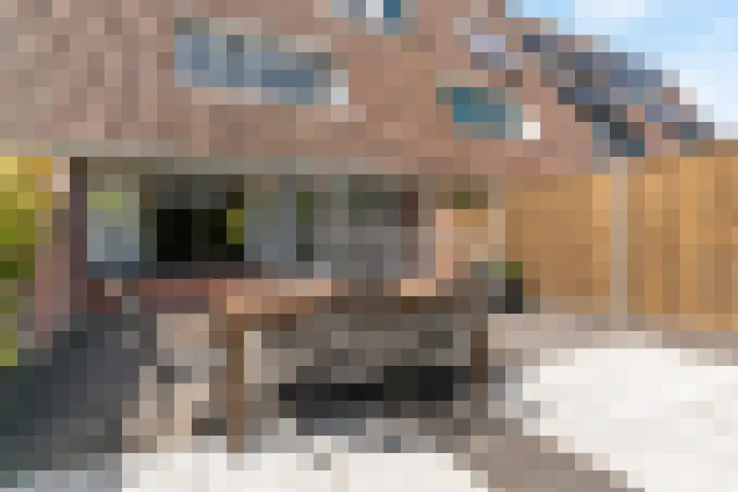 Lisdoddekreek 15 Leiderdorp thumbnail 32