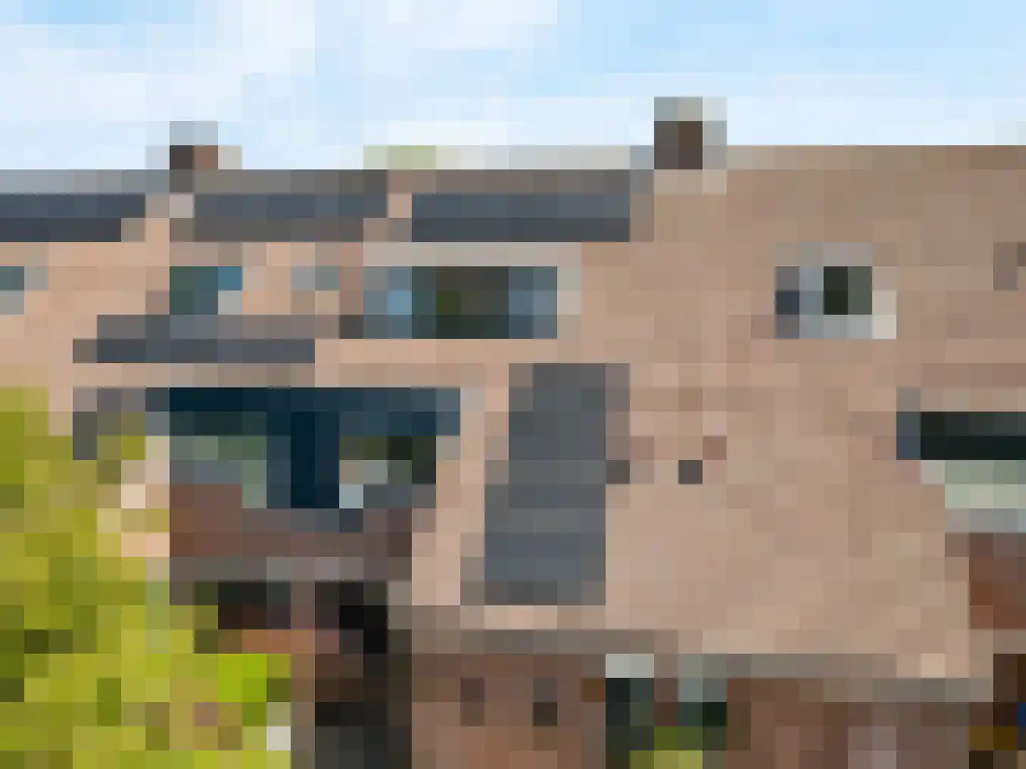 Lisdoddekreek 15 Leiderdorp thumbnail 37