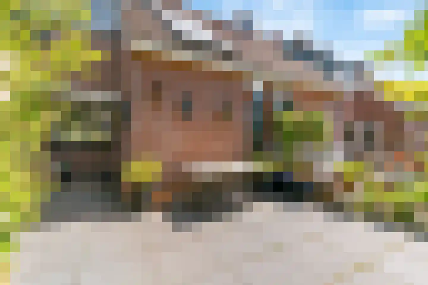 Lisdoddekreek 15 Leiderdorp thumbnail 4