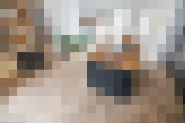 Lisdoddekreek 25 Leiderdorp thumbnail 11