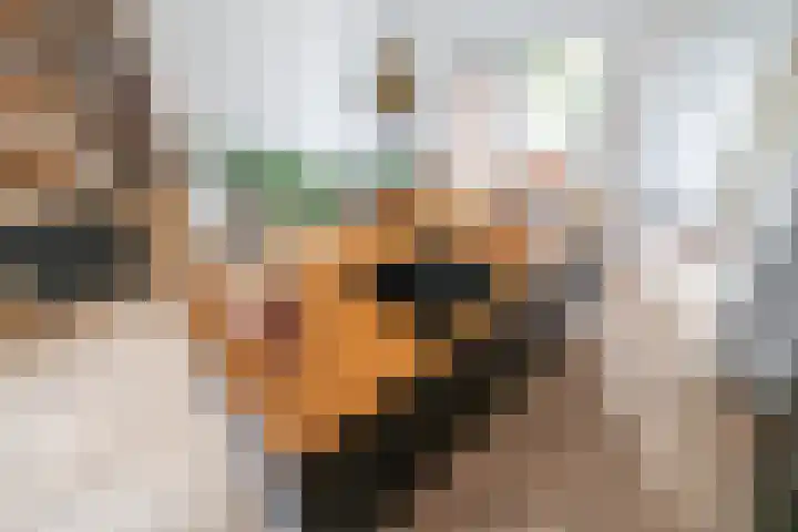 Lisdoddekreek 25 Leiderdorp thumbnail 12