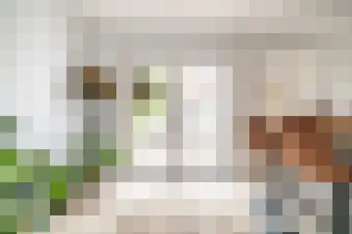Lisdoddekreek 25 Leiderdorp thumbnail 13