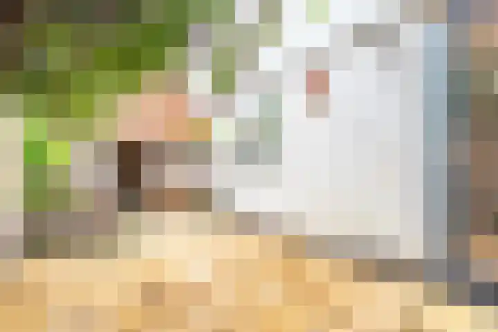 Lisdoddekreek 25 Leiderdorp thumbnail 16