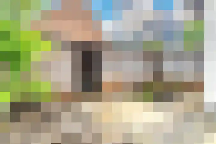 Lisdoddekreek 25 Leiderdorp thumbnail 18
