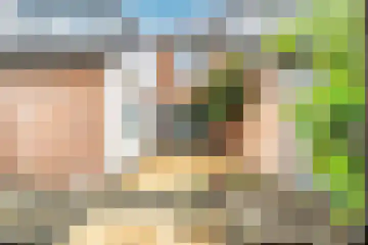 Lisdoddekreek 25 Leiderdorp thumbnail 19