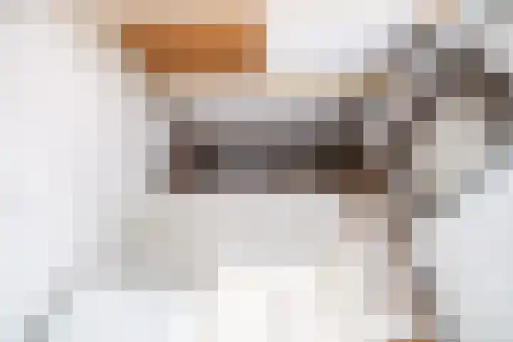 Lisdoddekreek 25 Leiderdorp thumbnail 22