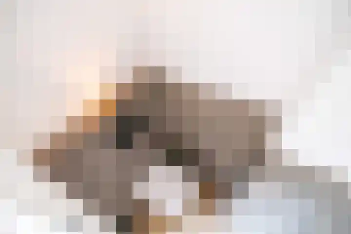 Lisdoddekreek 25 Leiderdorp thumbnail 23