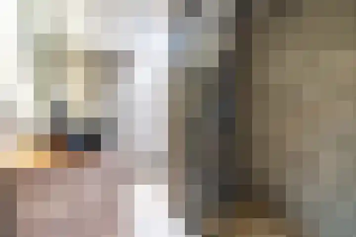 Lisdoddekreek 25 Leiderdorp thumbnail 33