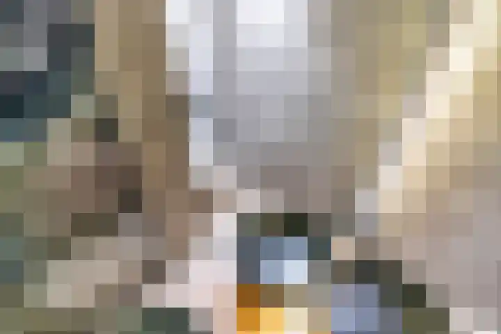 Lisdoddekreek 25 Leiderdorp thumbnail 35
