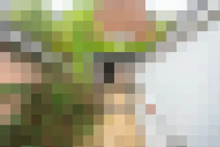 Lisdoddekreek 25 Leiderdorp thumbnail 41