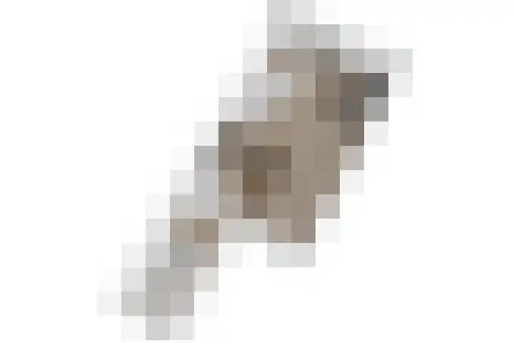 Lisdoddekreek 25 Leiderdorp thumbnail 47