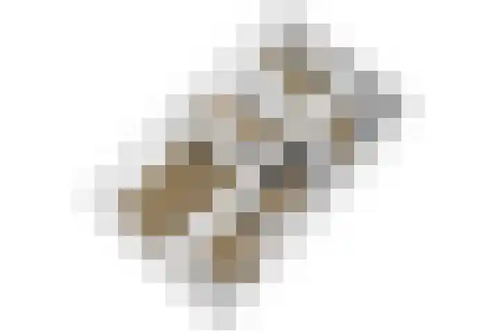 Lisdoddekreek 25 Leiderdorp thumbnail 49