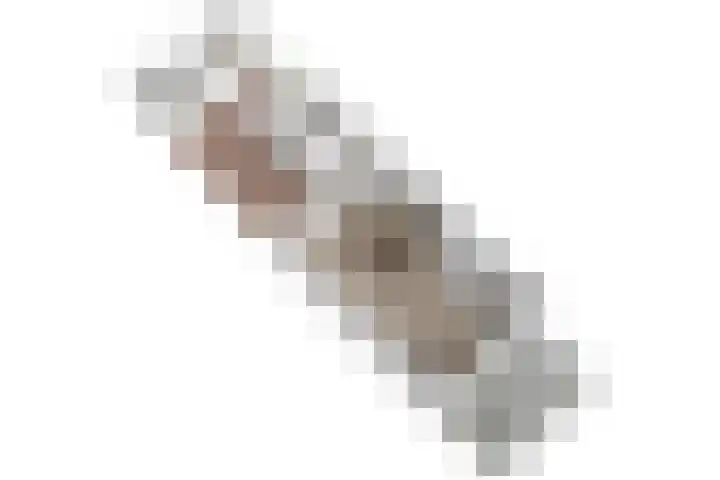 Lisdoddekreek 25 Leiderdorp thumbnail 51