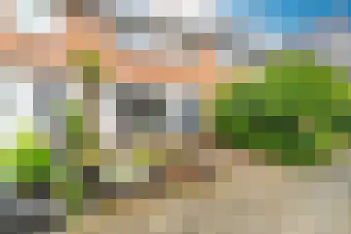 Lisdoddekreek 25 Leiderdorp thumbnail 53