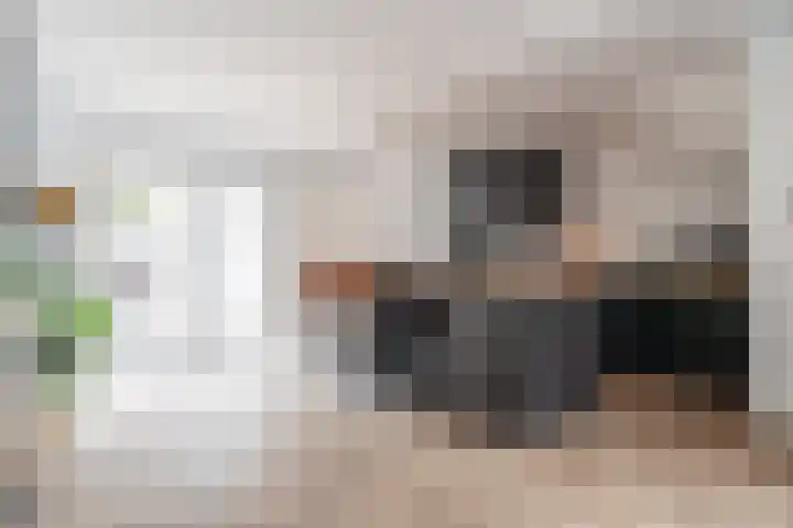 Lisdoddekreek 25 Leiderdorp thumbnail 9