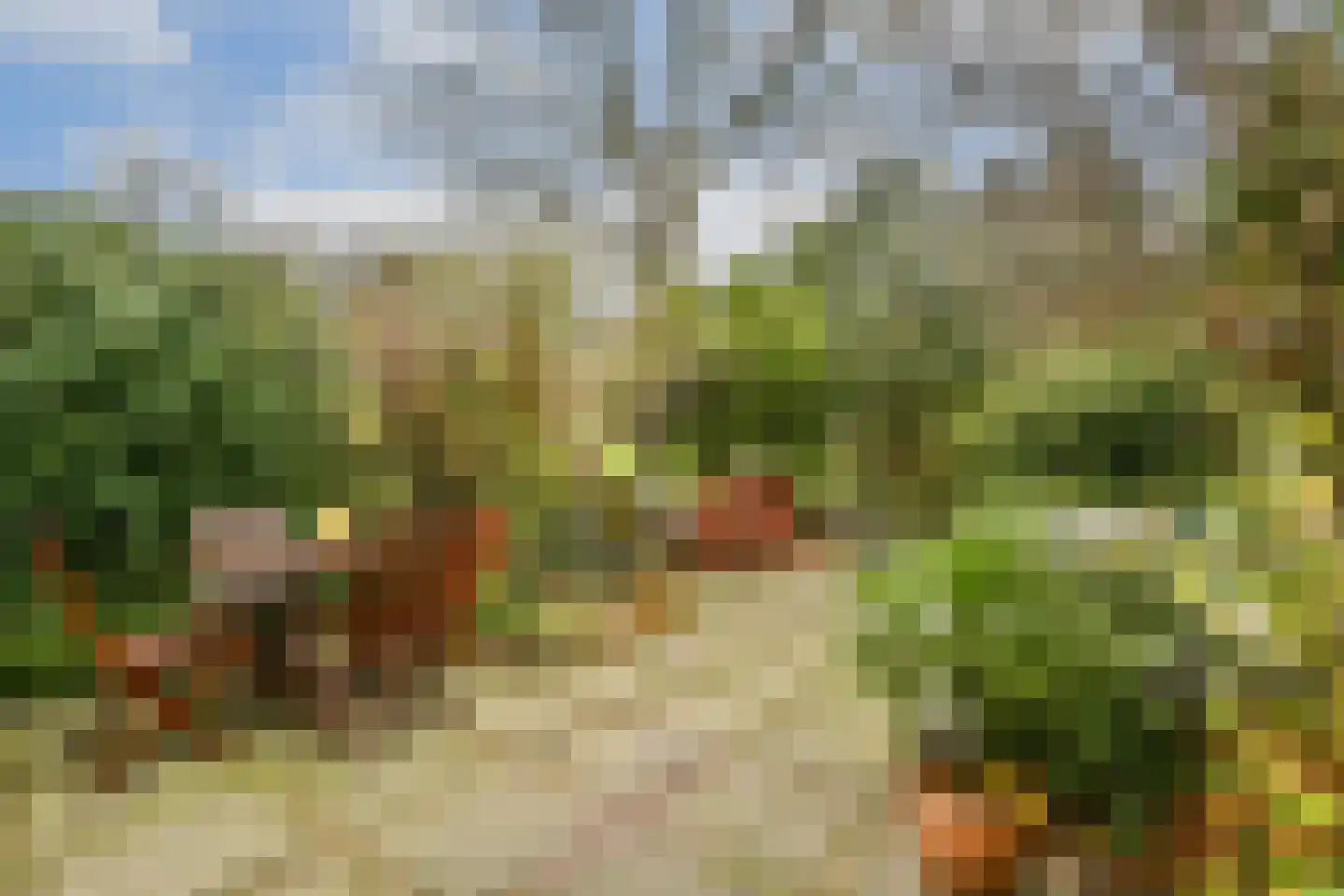 Lisdoddekreek 32 Leiderdorp thumbnail 12