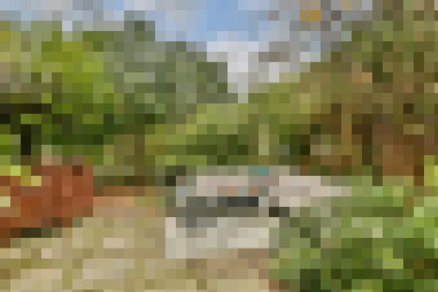 Lisdoddekreek 32 Leiderdorp thumbnail 13