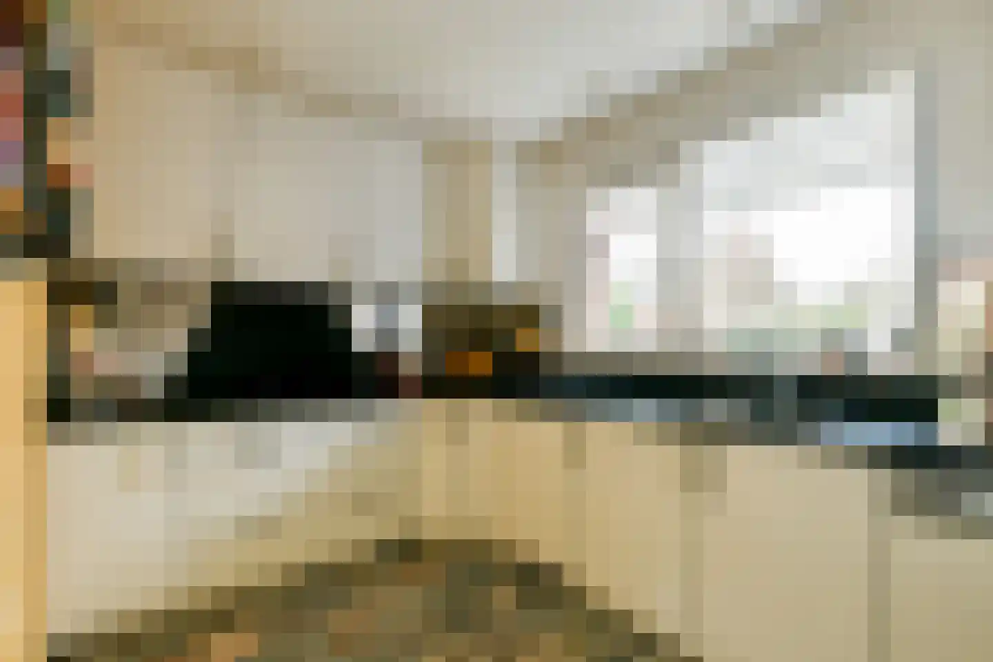 Lisdoddekreek 32 Leiderdorp thumbnail 17