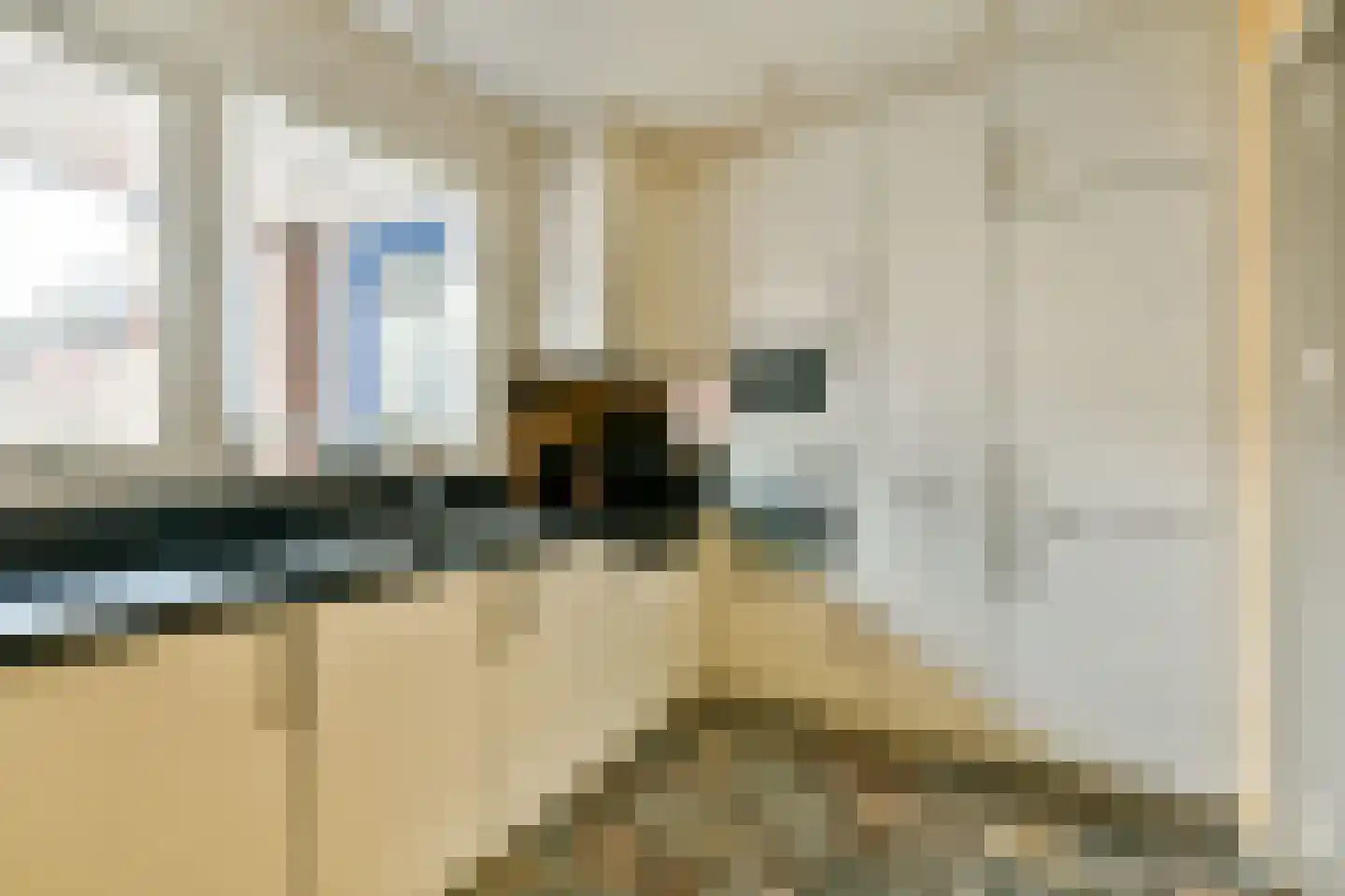 Lisdoddekreek 32 Leiderdorp thumbnail 18