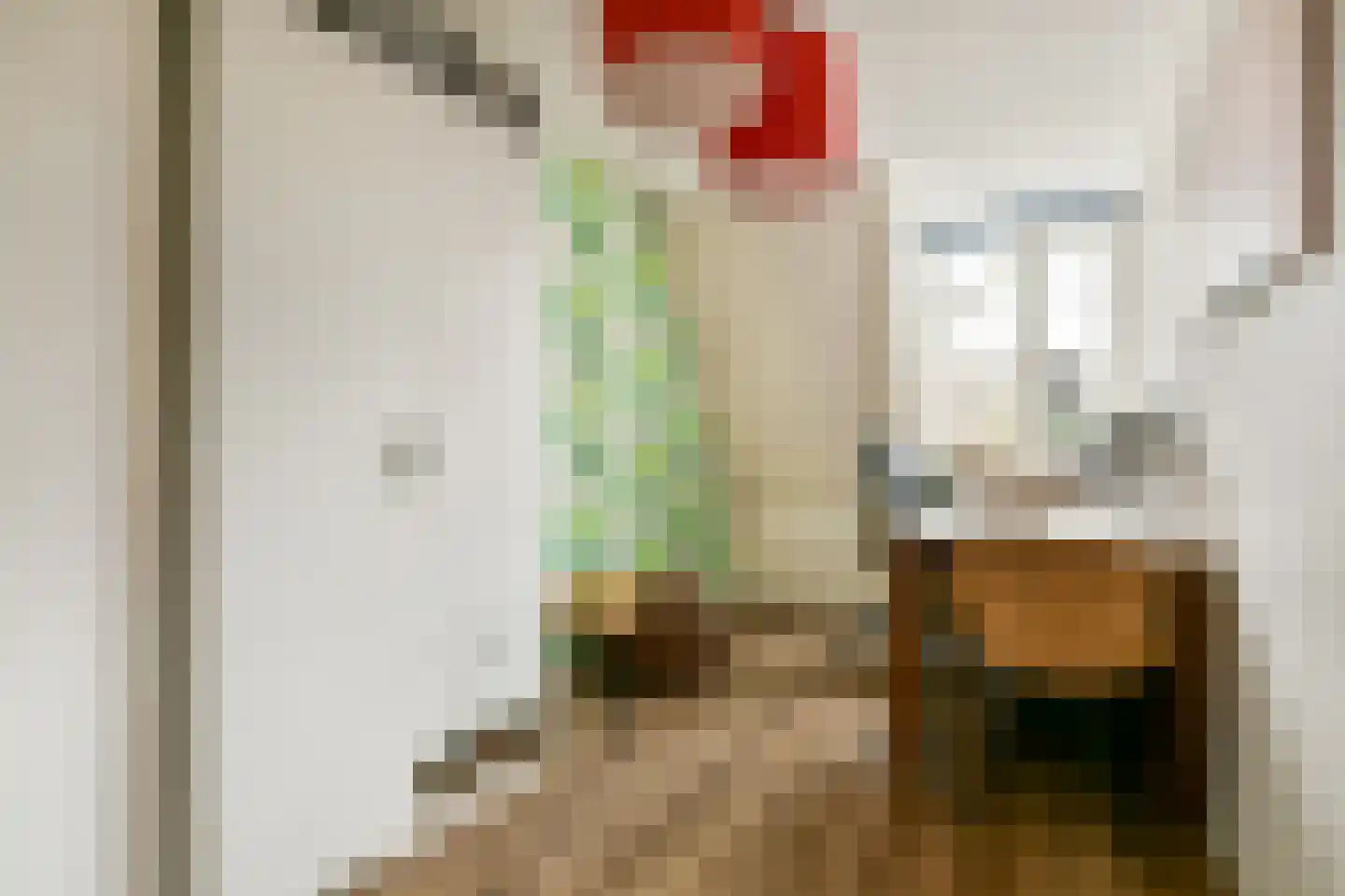 Lisdoddekreek 32 Leiderdorp thumbnail 20