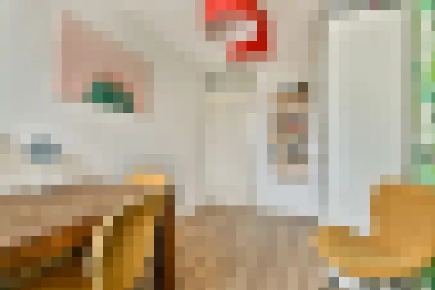 Lisdoddekreek 32 Leiderdorp thumbnail 21