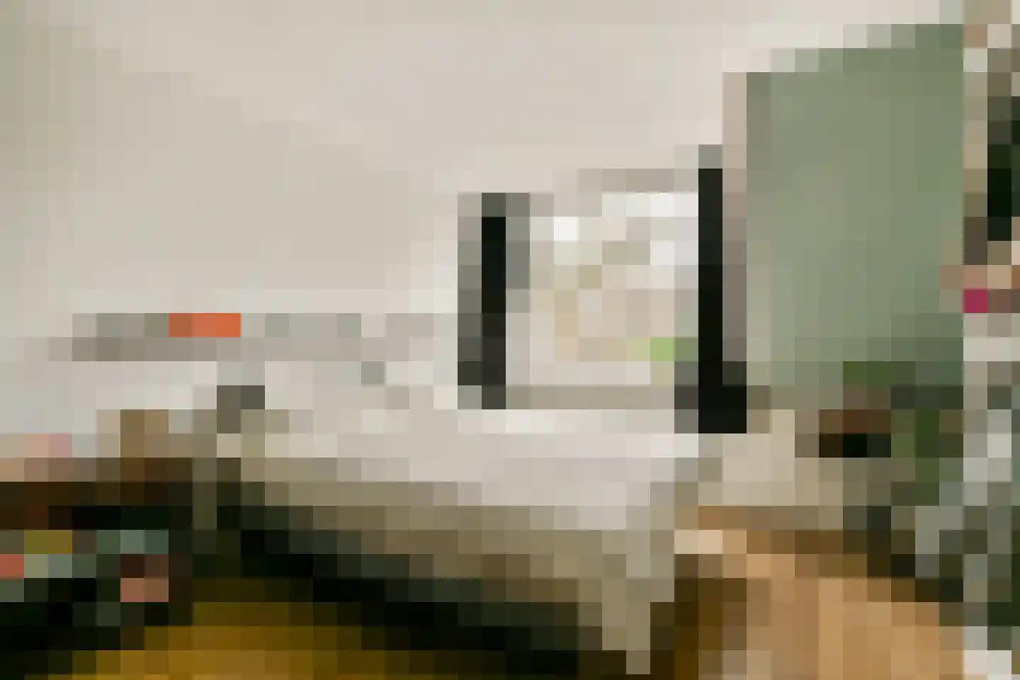 Lisdoddekreek 32 Leiderdorp thumbnail 22