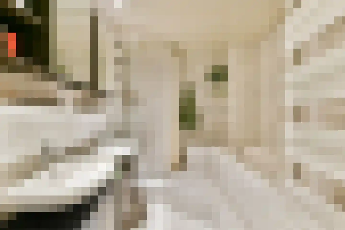 Lisdoddekreek 32 Leiderdorp thumbnail 24