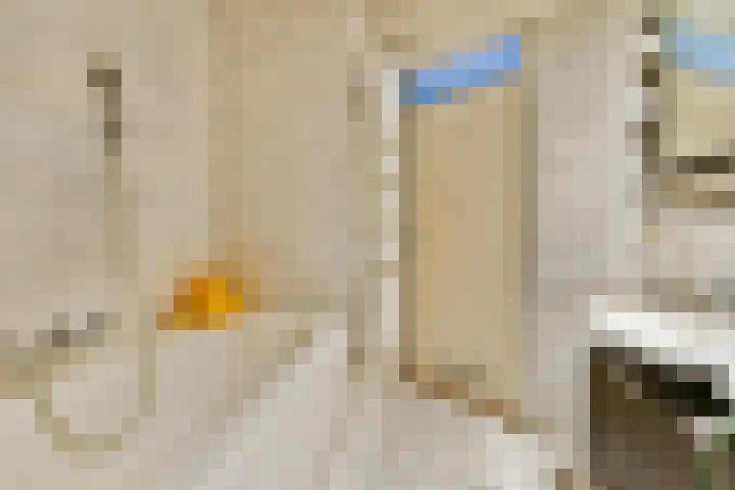 Lisdoddekreek 32 Leiderdorp thumbnail 25