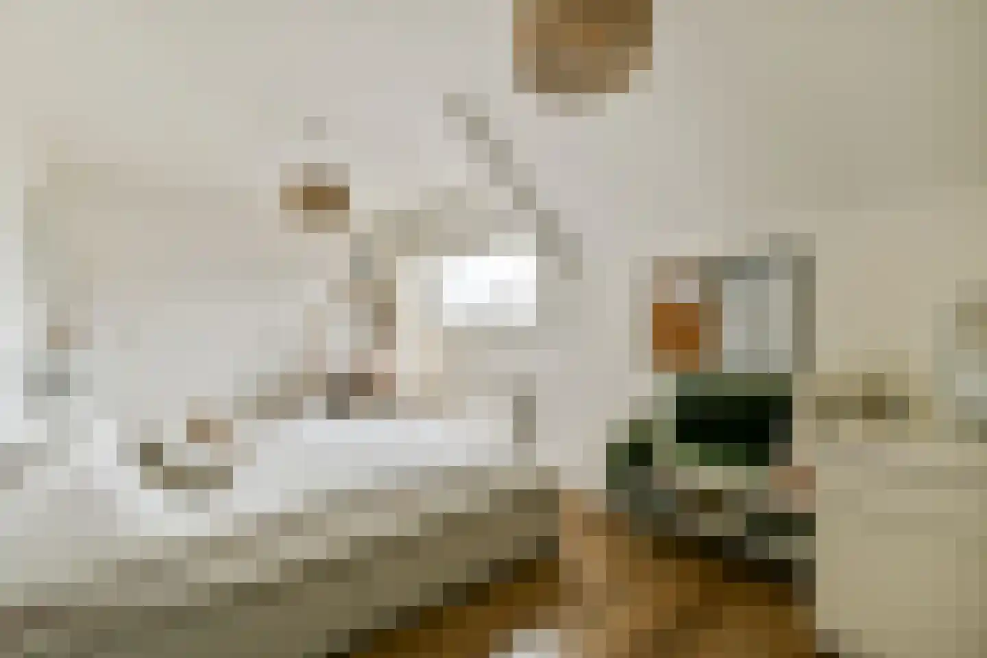 Lisdoddekreek 32 Leiderdorp thumbnail 27