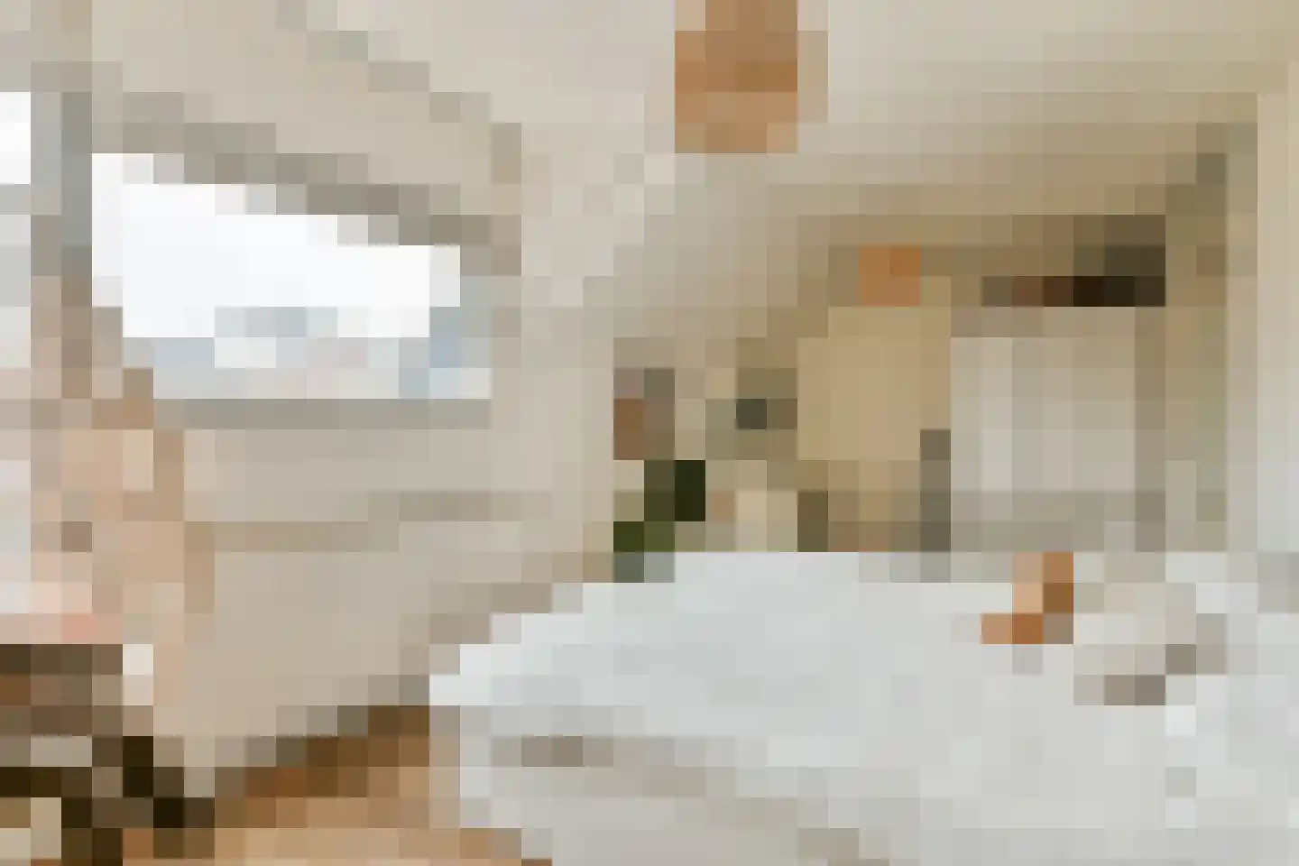 Lisdoddekreek 32 Leiderdorp thumbnail 28