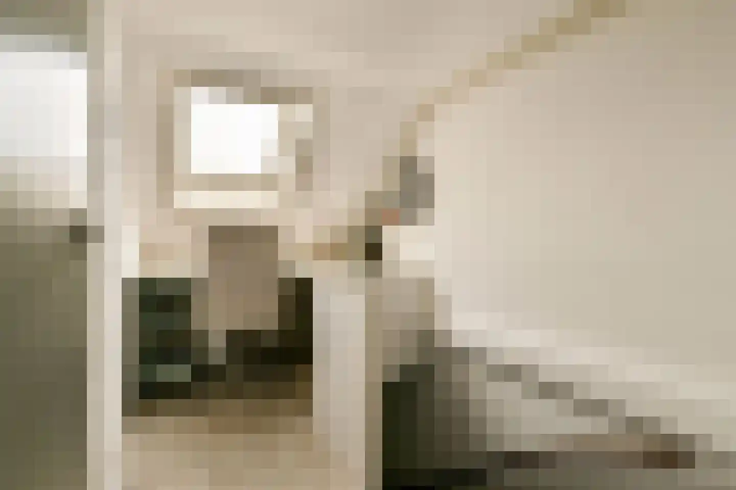 Lisdoddekreek 32 Leiderdorp thumbnail 29