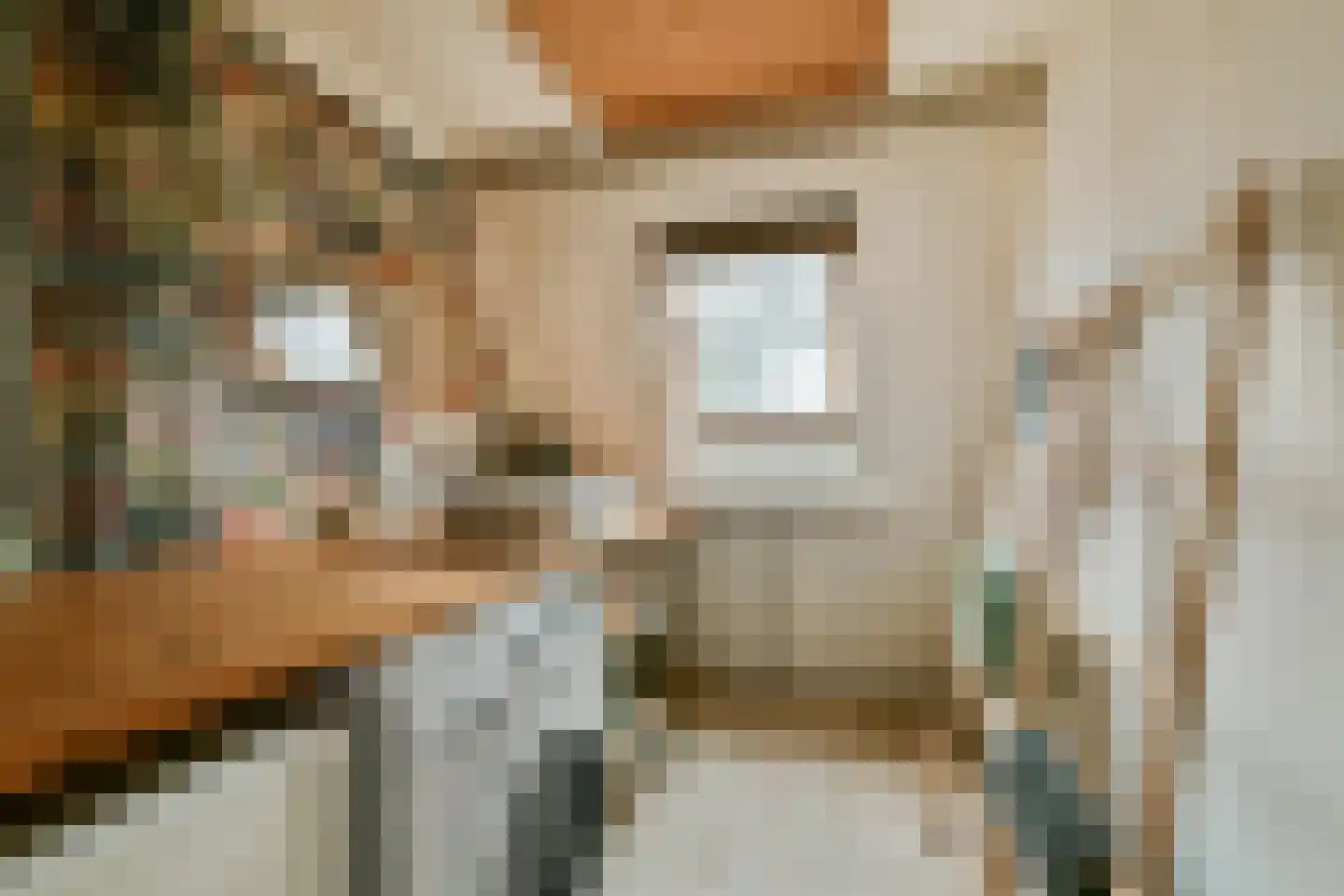 Lisdoddekreek 32 Leiderdorp thumbnail 32