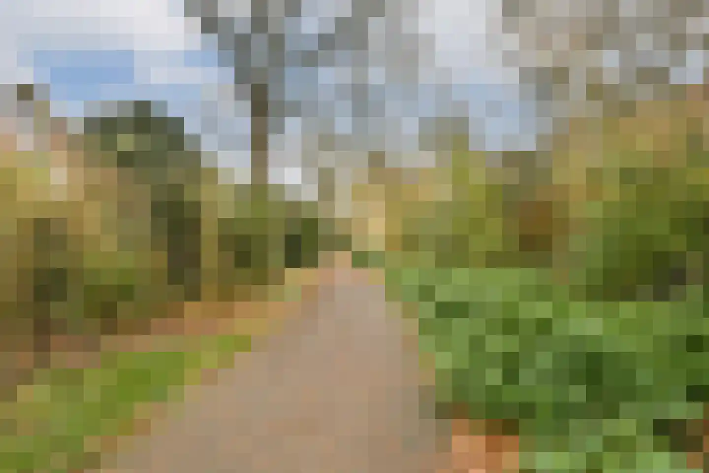 Lisdoddekreek 32 Leiderdorp thumbnail 33